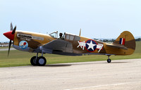 19503 / 41-19841 P-40F